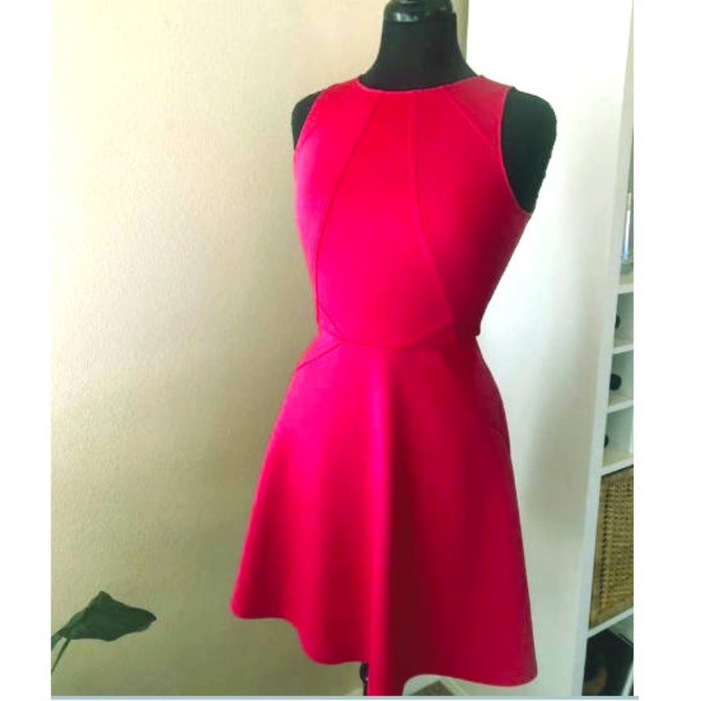 Ted Baker Neoprene Dress with Geometric Detail